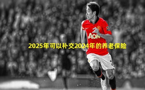 2025年可以补交2024年的养老保险