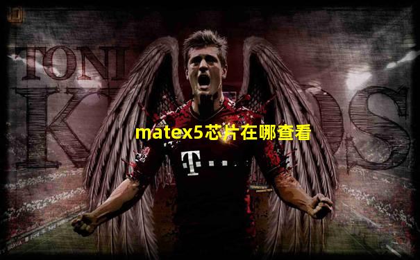 matex5芯片在哪查看
