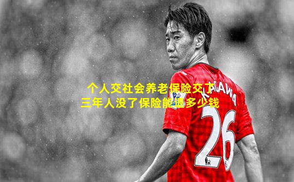 个人交社会养老保险交了三年人没了保险能退多少钱