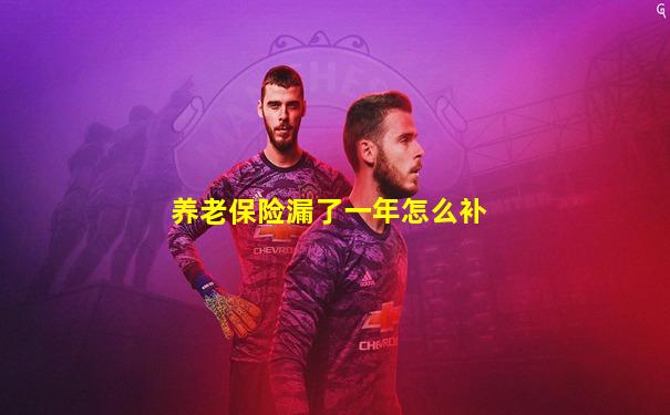 养老保险漏了一年怎么补
