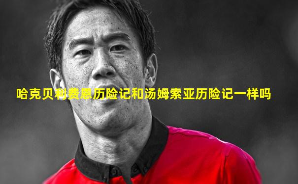 哈克贝利费恩历险记和汤姆索亚历险记一样吗