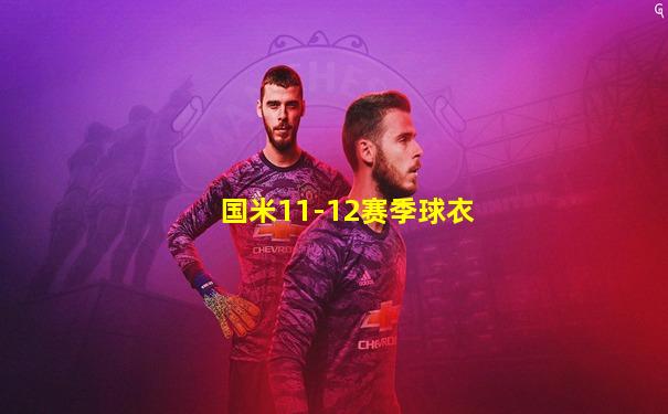 国米11-12赛季球衣