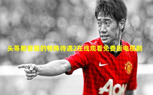 头等舱客服的特殊待遇2在线观看免费版电视剧
