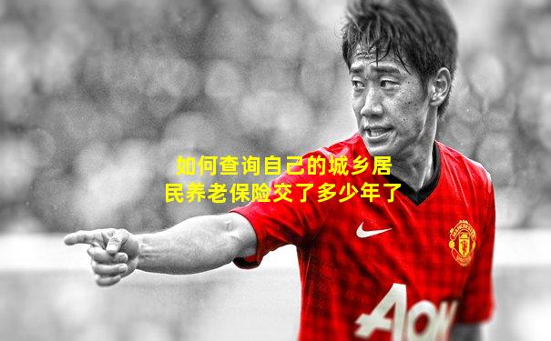 如何查询自己的城乡居民养老保险交了多少年了