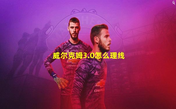 威尔克姆3.0怎么理线