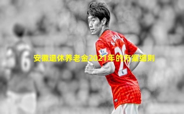 安徽退休养老金2021年的方案细则