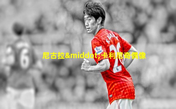 尼古拉·卡利尼奇偶像