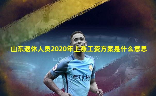山东退休人员2020年上涨工资方案是什么意思