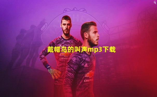 戴帽鸟的叫声mp3下载
