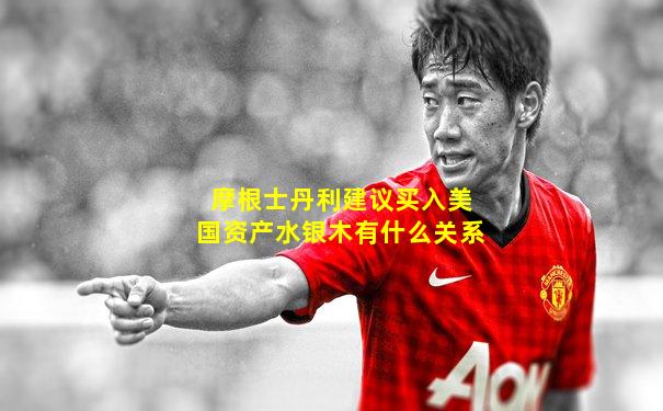 摩根士丹利建议买入美国资产水银木有什么关系