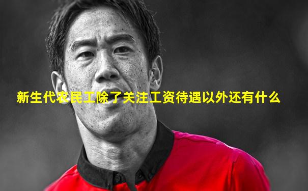 新生代农民工除了关注工资待遇以外还有什么