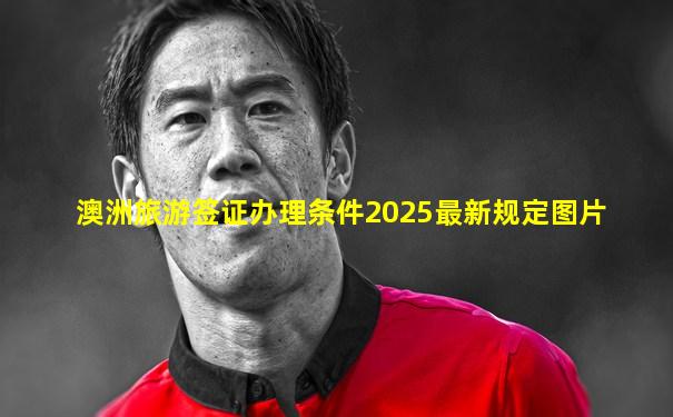 澳洲旅游签证办理条件2025最新规定图片