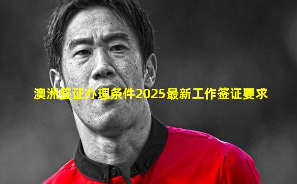 澳洲签证办理条件2025最新工作签证要求