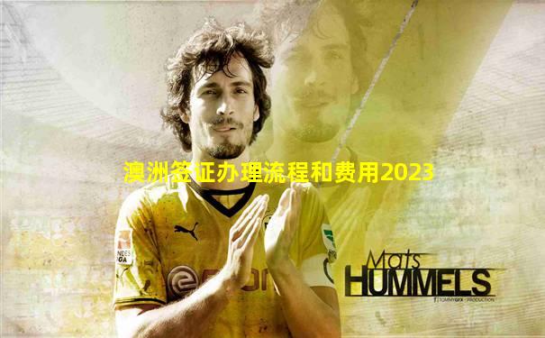 澳洲签证办理流程和费用2023