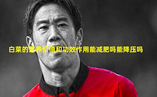 白菜的营养价值和功效作用能减肥吗能降压吗