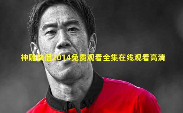 神雕侠侣2014免费观看全集在线观看高清