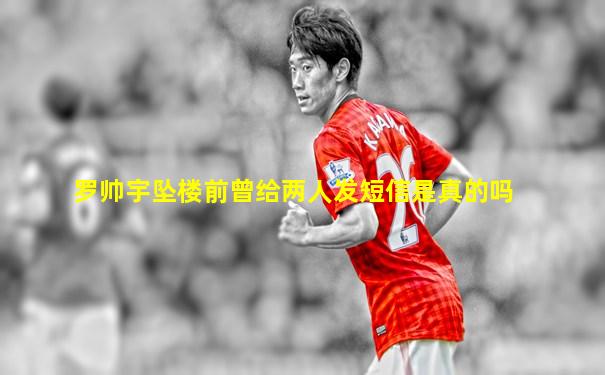 罗帅宇坠楼前曾给两人发短信是真的吗