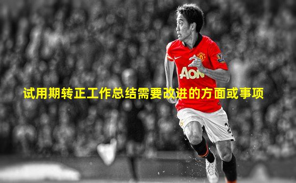 试用期转正工作总结需要改进的方面或事项