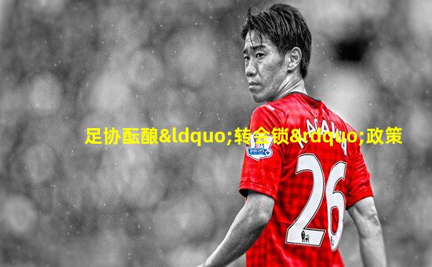 足协酝酿“转会锁”政策