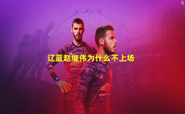 辽蓝赵继伟为什么不上场