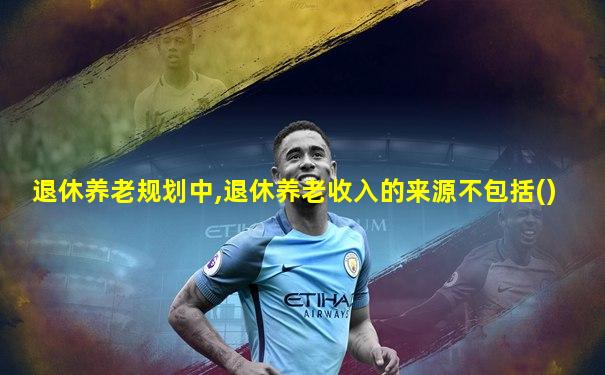 退休养老规划中,退休养老收入的来源不包括()