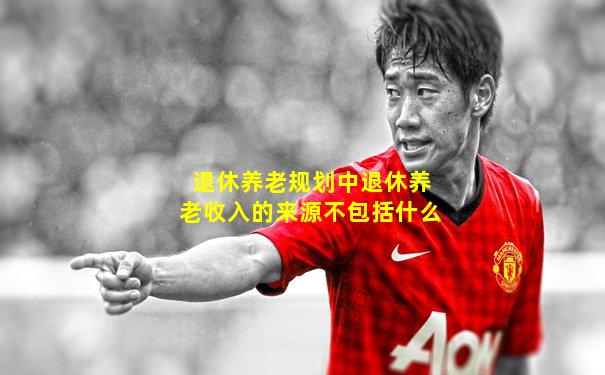 退休养老规划中退休养老收入的来源不包括什么