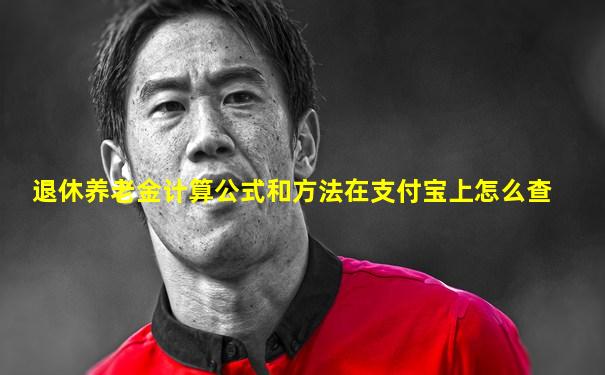 退休养老金计算公式和方法在支付宝上怎么查