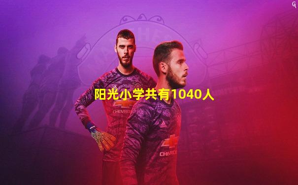 阳光小学共有1040人