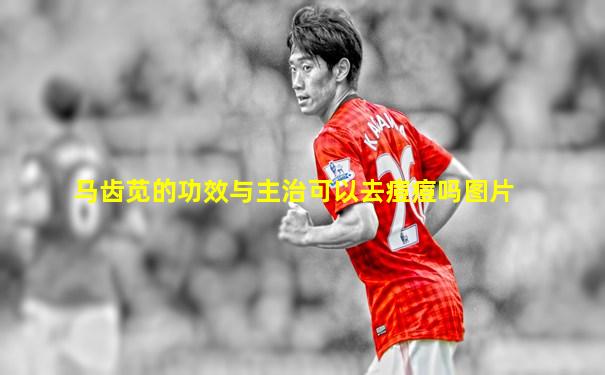 马齿苋的功效与主治可以去痘痘吗图片