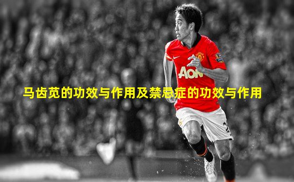 马齿苋的功效与作用及禁忌症的功效与作用