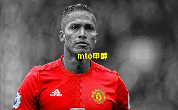 mto甲醇