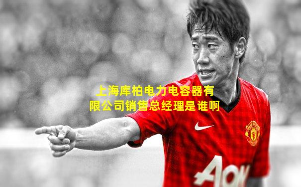 上海库柏电力电容器有限公司销售总经理是谁啊
