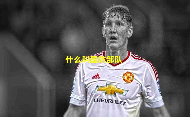 什么叫国防部队