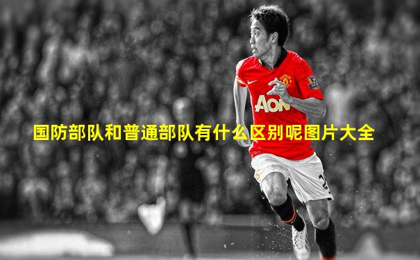 国防部队和普通部队有什么区别呢图片大全