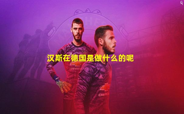 汉斯在德国是做什么的呢