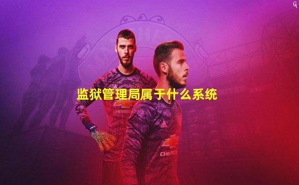 监狱管理局属于什么系统