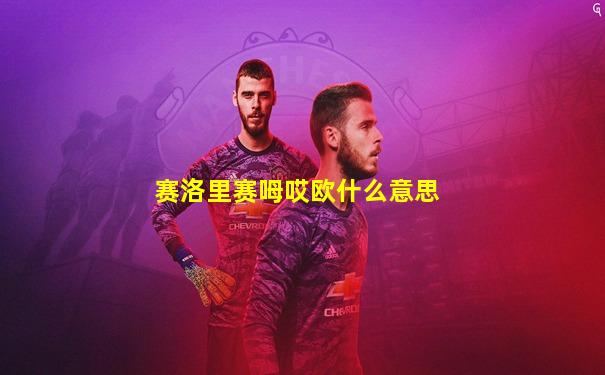 赛洛里赛呣哎欧什么意思