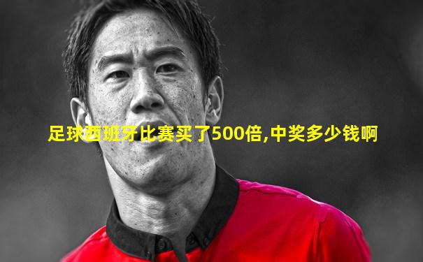 足球西班牙比赛买了500倍,中奖多少钱啊